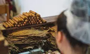 AI Leaf Quality Grading for Cigars | Tobacco Grader Machine